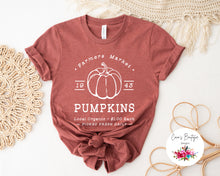 Load image into Gallery viewer, Farmers Market Pumpkins