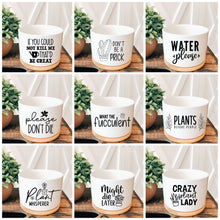 Load image into Gallery viewer, Ceramic Plant Pot