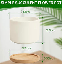 Load image into Gallery viewer, Ceramic Plant Pot