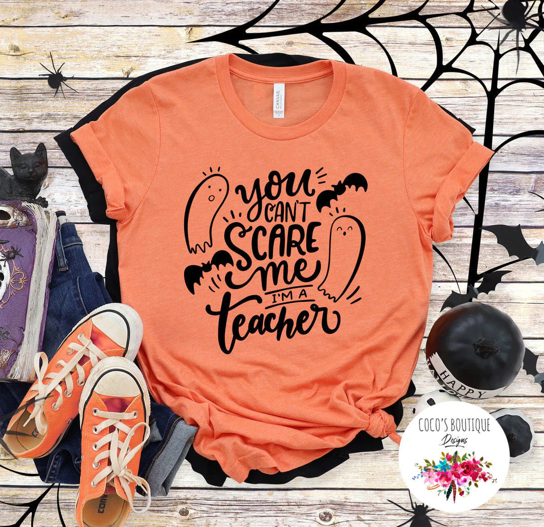 I’m a Teacher You Can’t Scare Me