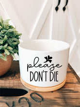 Load image into Gallery viewer, Ceramic Plant Pot