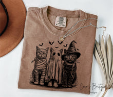 Load image into Gallery viewer, Halloween Cats